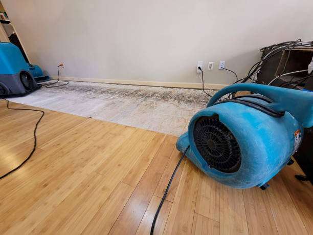 Professional Water Removal technician working in Newcastle, ME